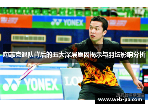 陶菲克退队背后的五大深层原因揭示与羽坛影响分析 陶菲克退队背后的五大深层原因揭示与羽坛影响分析