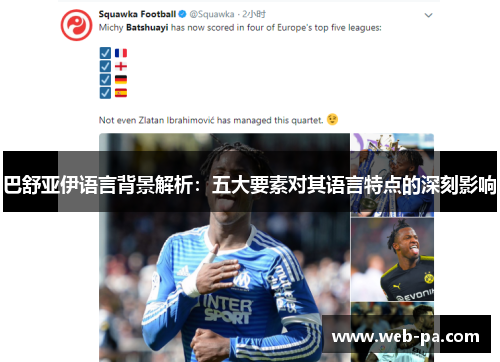 巴舒亚伊语言背景解析：五大要素对其语言特点的深刻影响