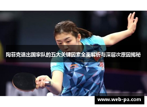 陶菲克退出国家队的五大关键因素全面解析与深层次原因揭秘