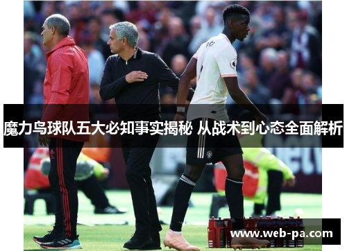 魔力鸟球队五大必知事实揭秘 从战术到心态全面解析