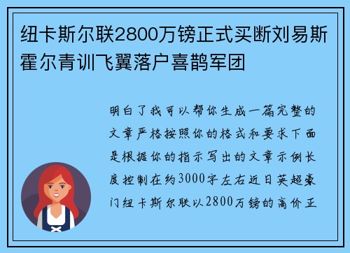 纽卡斯尔联2800万镑正式买断刘易斯霍尔青训飞翼落户喜鹊军团 纽卡斯尔联2800万镑正式买断刘易斯霍尔青训飞翼落户喜鹊军团